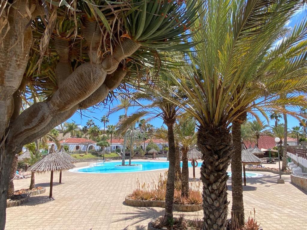 Bungalow Parque Golf By Sunhousescanarias Maspalomas  Eksteriør bilde